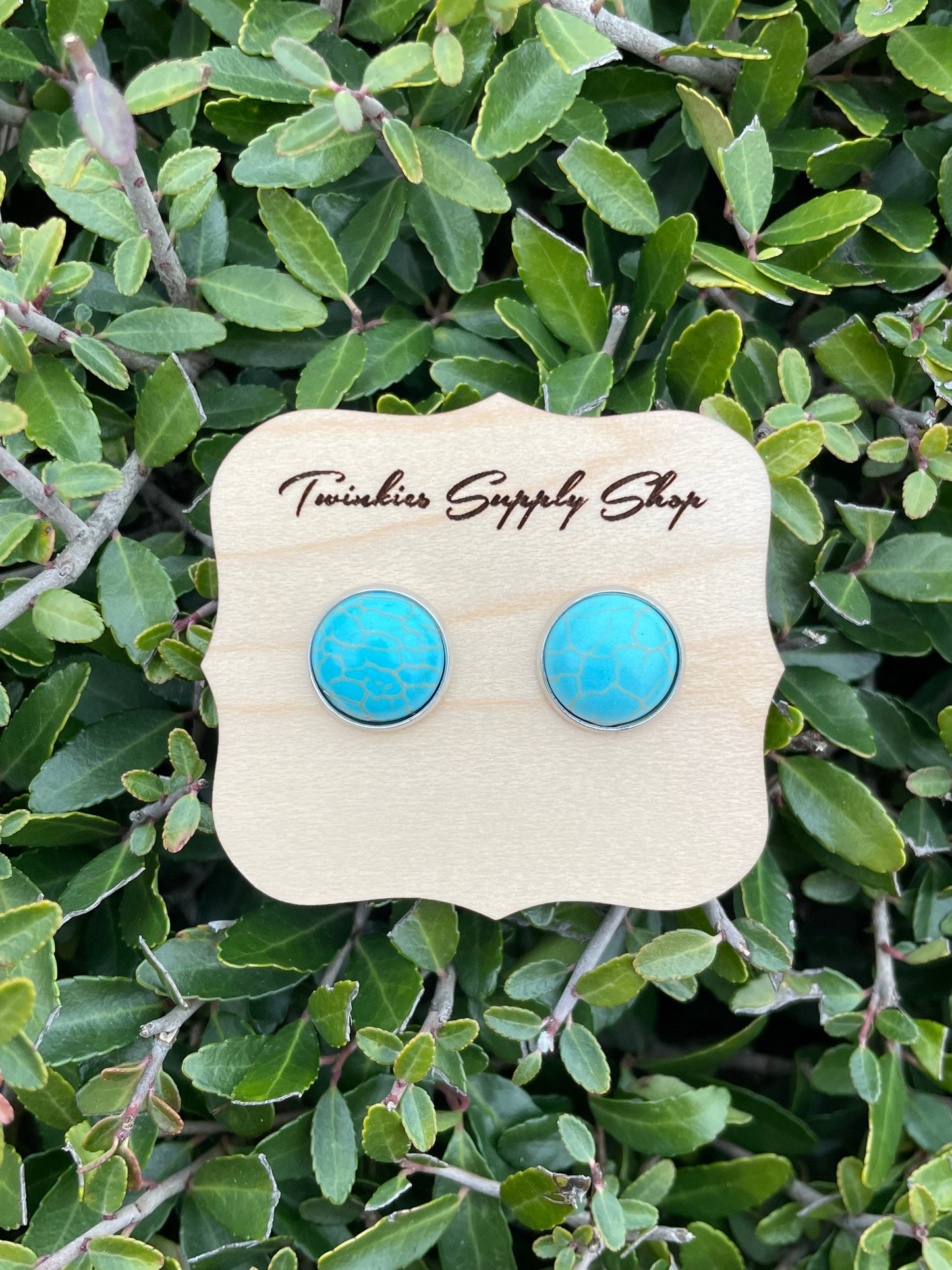 12mm Turquoise Earrings