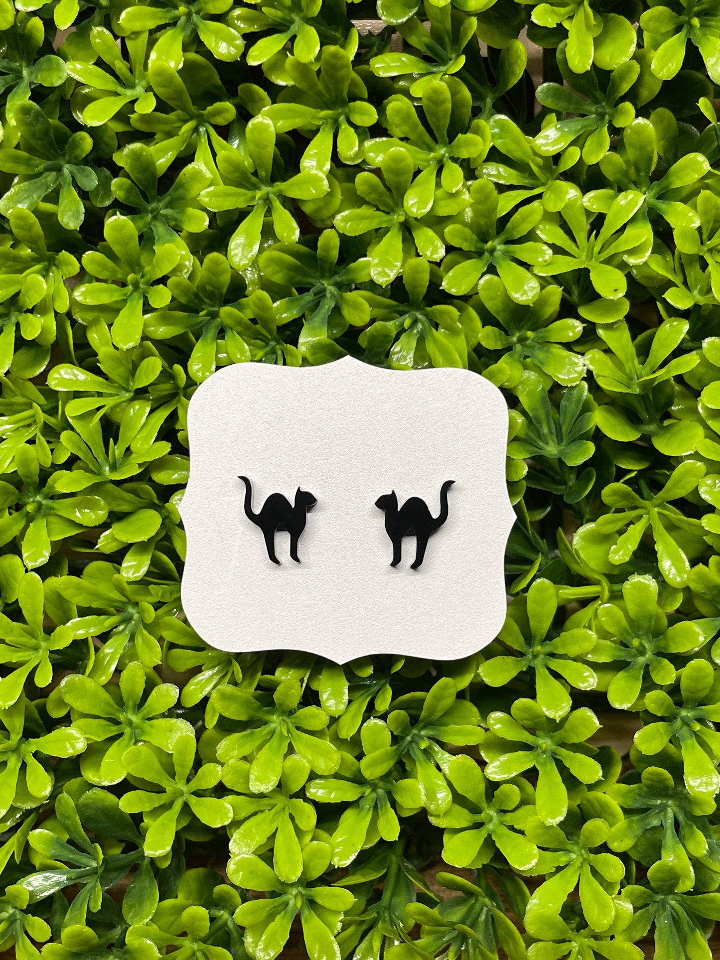 Black Cat Acrylic Earrings