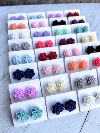 Succulent Earrings Grab Bag | Wholesale Earrings | Thank You Gifts