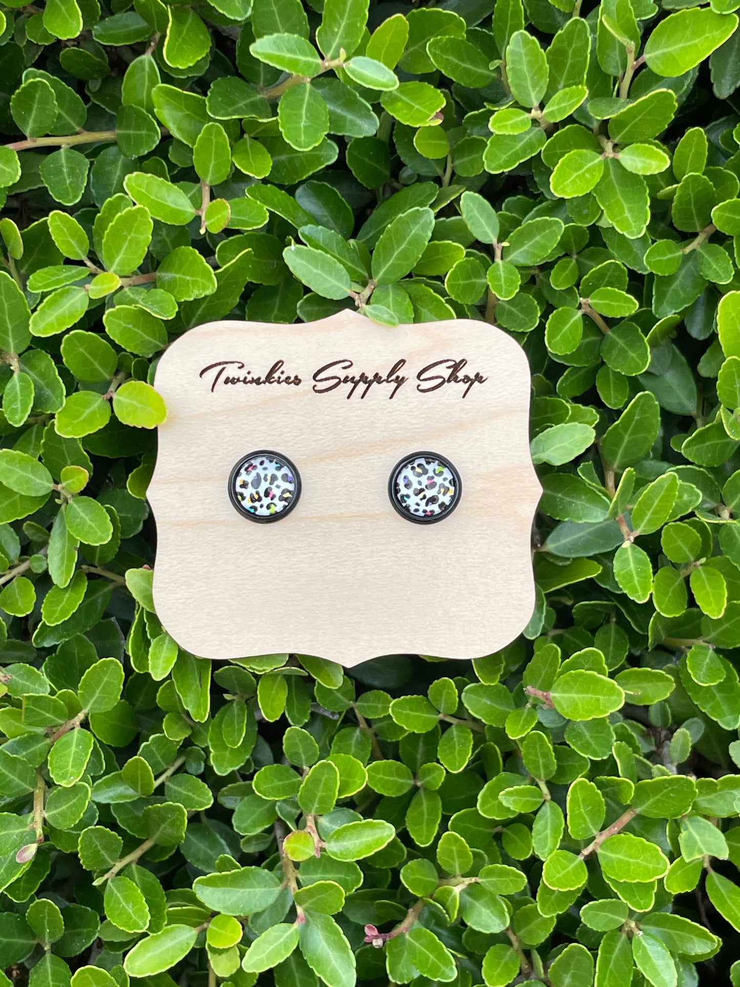 8mm White Rainbow Leopard Earrings