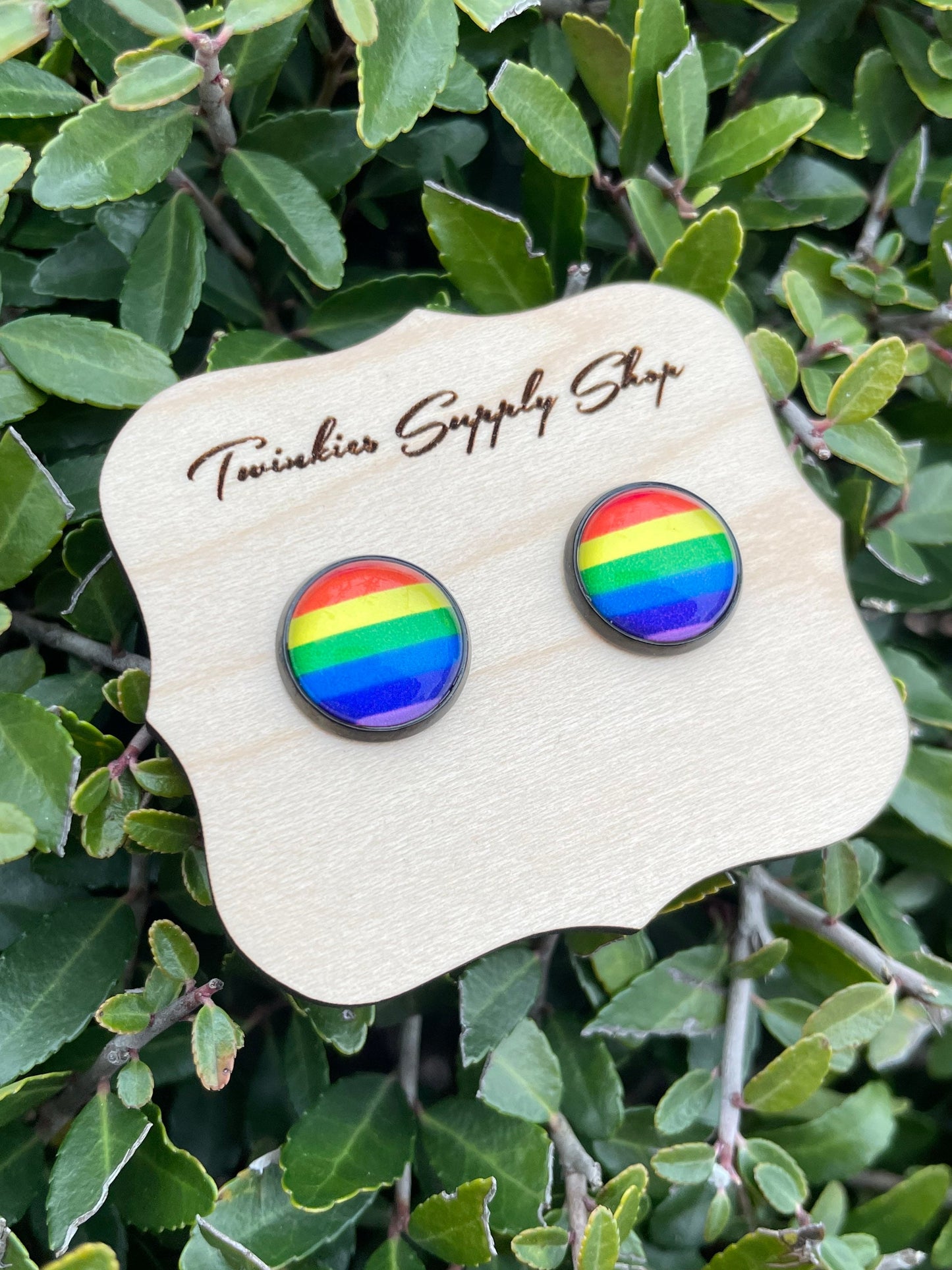 12mm Rainbow Earrings