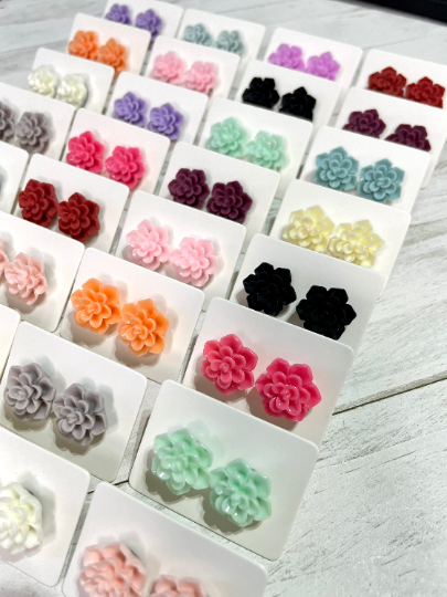 Succulent Earrings Grab Bag | Wholesale Earrings | Thank You Gifts